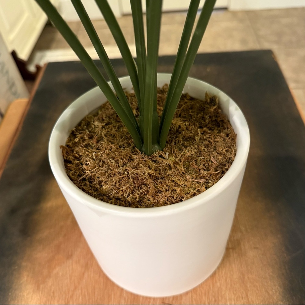 🪴 Faux Monstera Plant - Picture 6 of 12